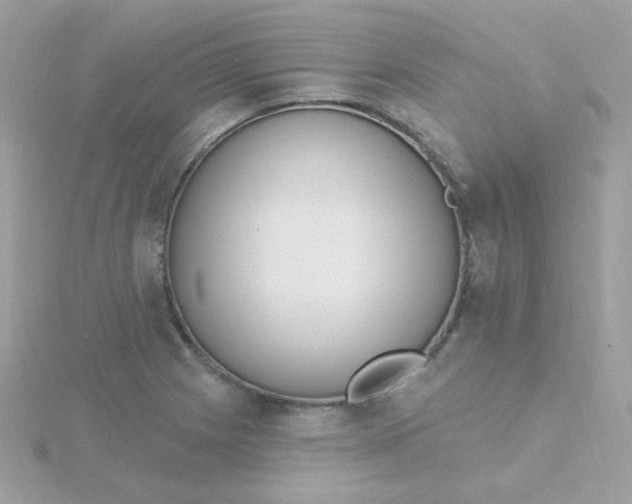 X0000115711225200911251849