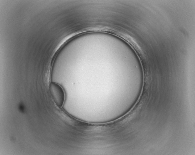 X0000115711228200911251849