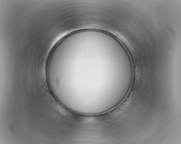 X0000115711230200911251849