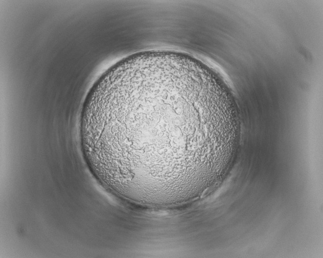 X0000115711231200911251849