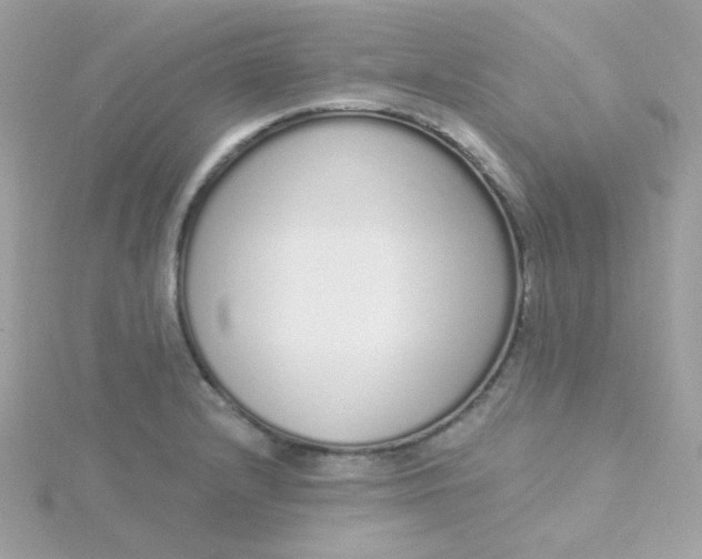 X0000115711232200911251849