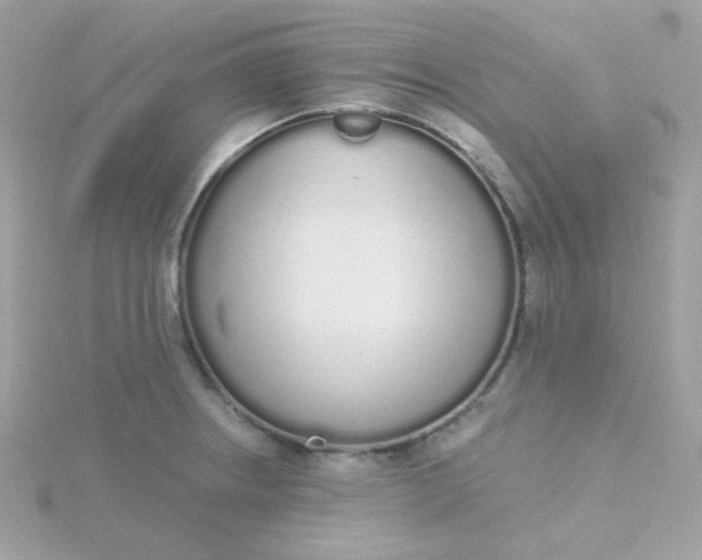 X0000115711234200911251849