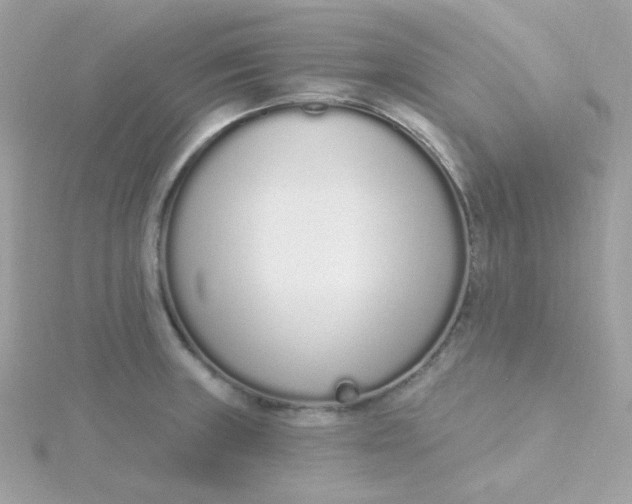 X0000115711235200911251849