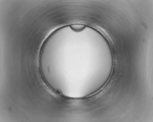 X0000115711236200911251849