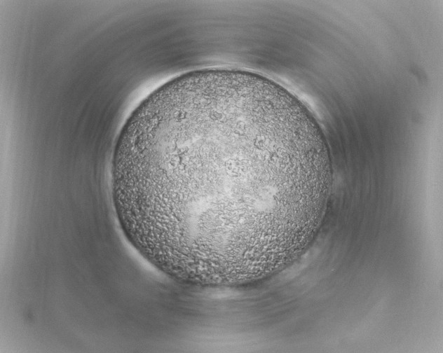 X0000115711239200911251849