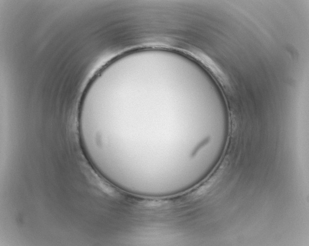 X0000115711240200911251849