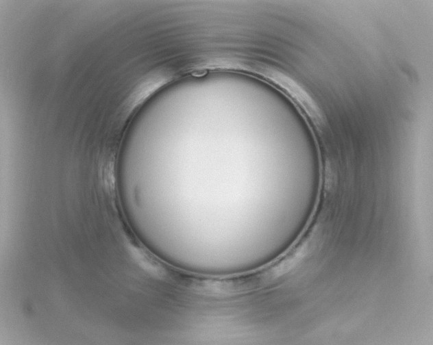 X0000115711241200911251849