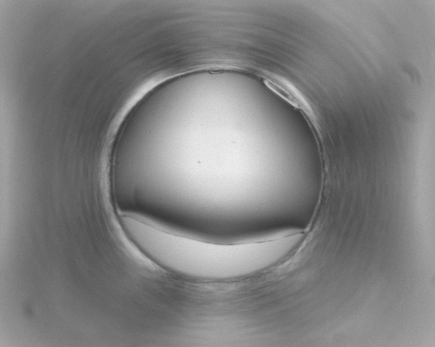 X0000115711243200911251849