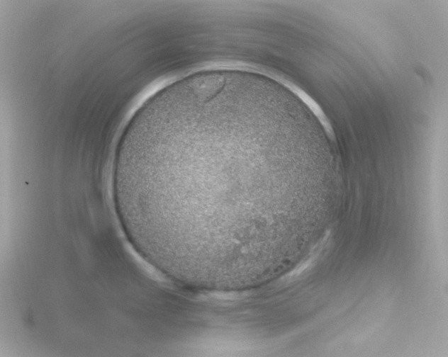 X0000115711245200911251849