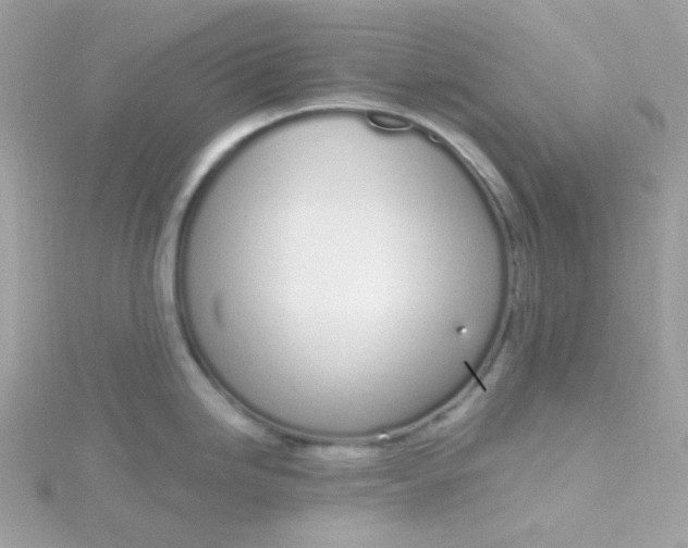 X0000115711246200911251849