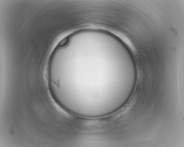 X0000115711247200911251849