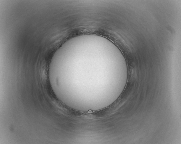 X0000115711250200911251848