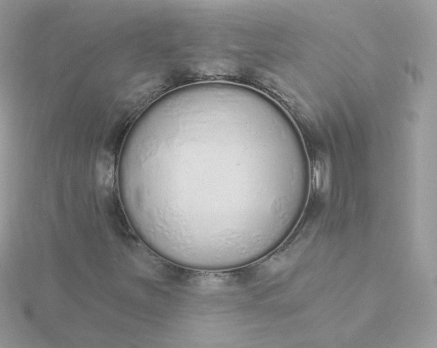 X0000115711251200911251848