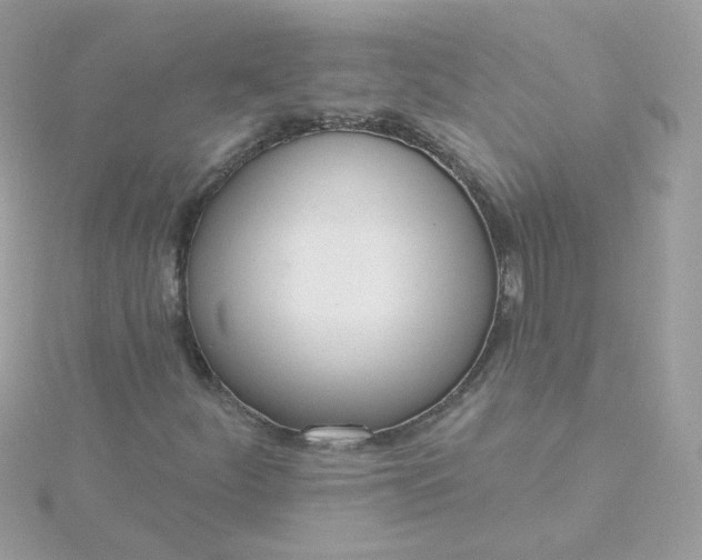 X0000115711252200911251848