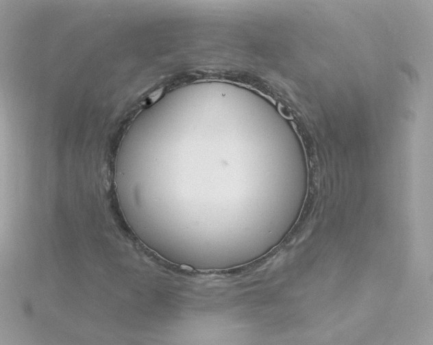 X0000115711253200911251848