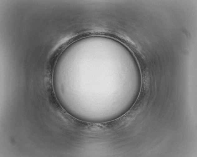 X0000115711255200911251848