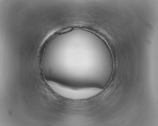 X0000115711256200911251848