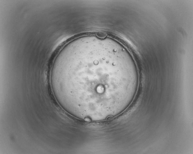 X0000115711259200911251848