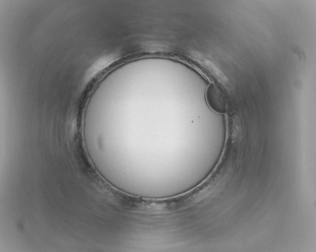 X0000115711261200911251848