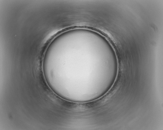 X0000115711263200911251848