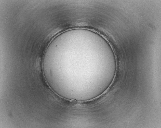 X0000115711265200911251848