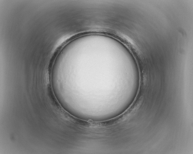 X0000115711267200911251848