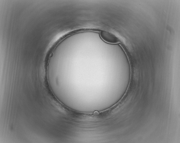 X0000115711270200911251848