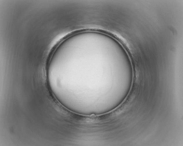 X0000115711271200911251848