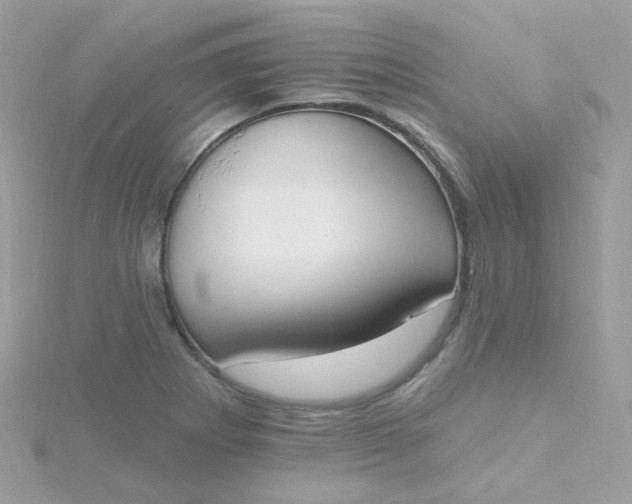 X0000115711273200911251848