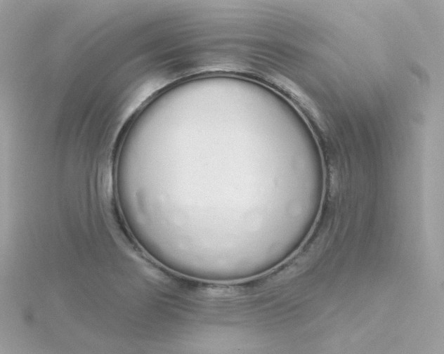 X0000115711274200911251848