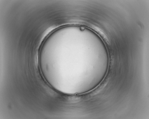 X0000115711275200911251848