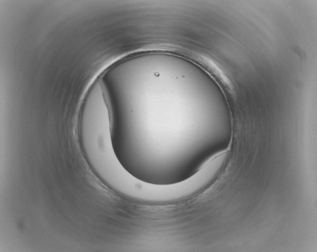 X0000115711276200911251848