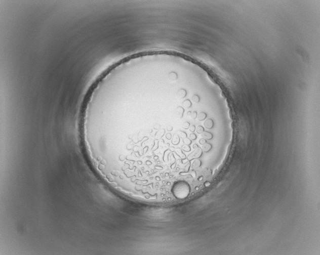 X0000115711278200911251848