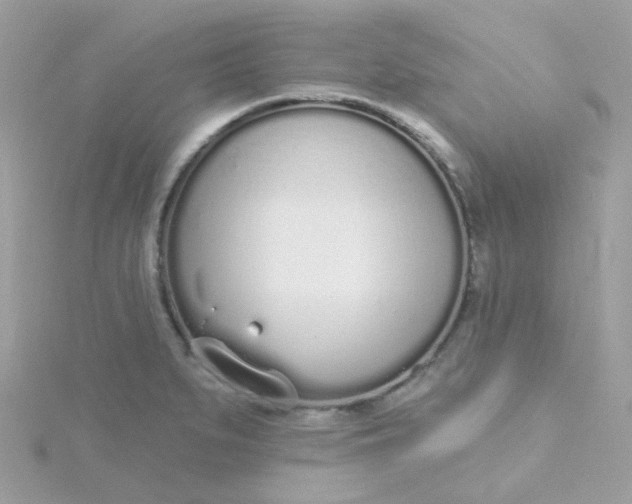 X0000115711279200911251848