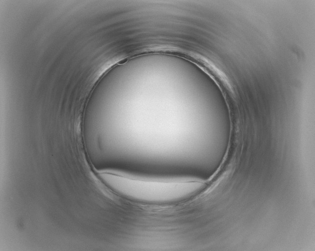 X0000115711281200911251848