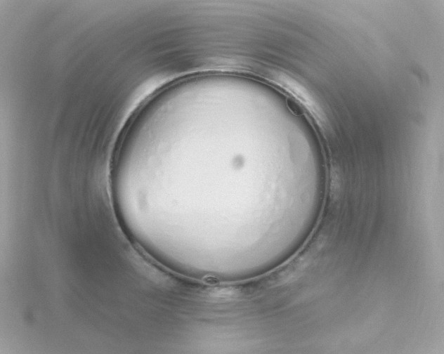 X0000115711283200911251848