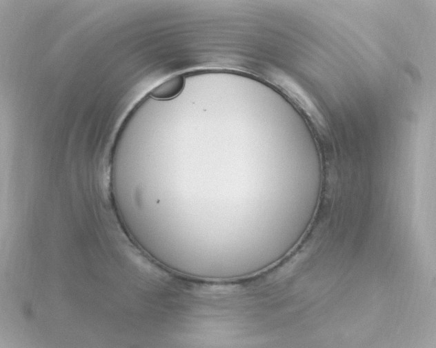 X0000115711284200911251848