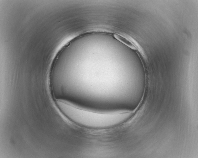 X0000115711285200911251848