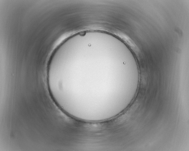 X0000115711286200911251848