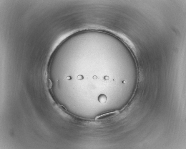 X0000115711287200911251848