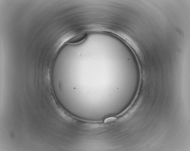 X0000115711289200911251848