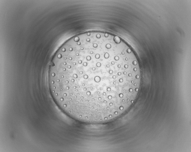 X0000115711290200911251848