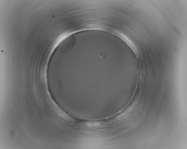 X0000115711291200911251848