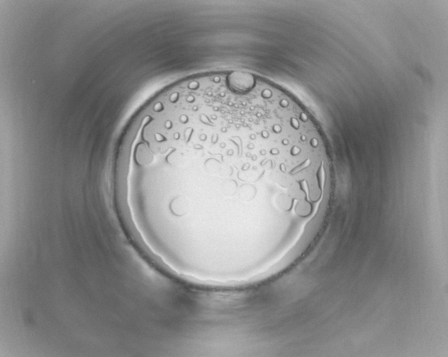 X0000115711294200911251847