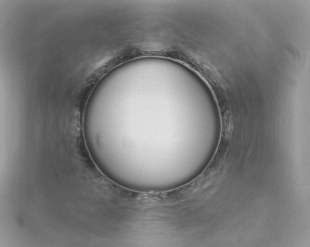 X0000115711301200911251847