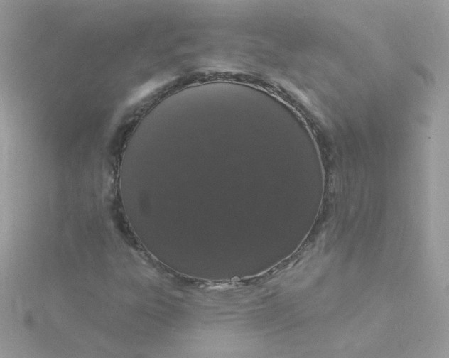 X0000115711303200911251847