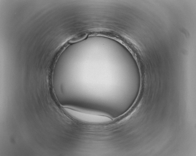 X0000115711305200911251847