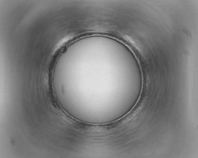 X0000115711307200911251847