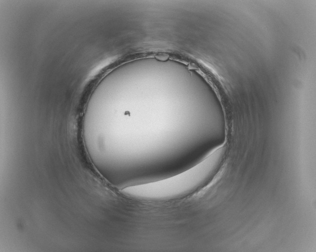 X0000115711309200911251847