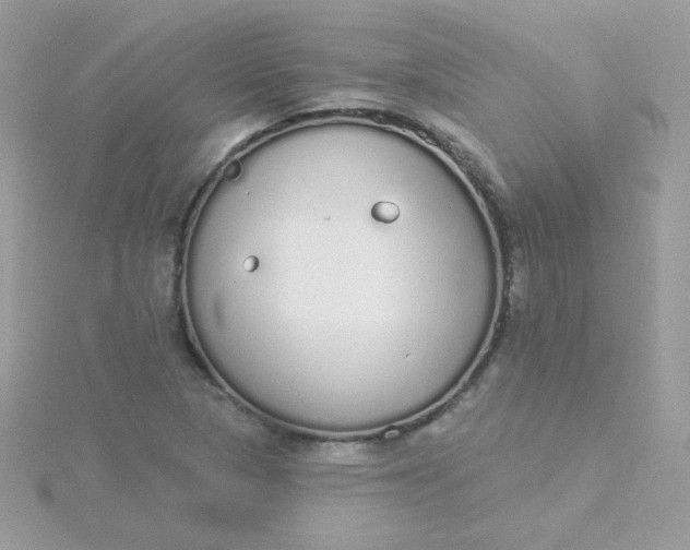 X0000115711313200911251847